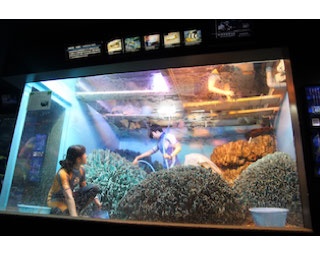 年に数回しか見られない、水槽の水を全部抜く貴重な光景！サンシャイン水族館「水槽ピカピカ大作戦！」