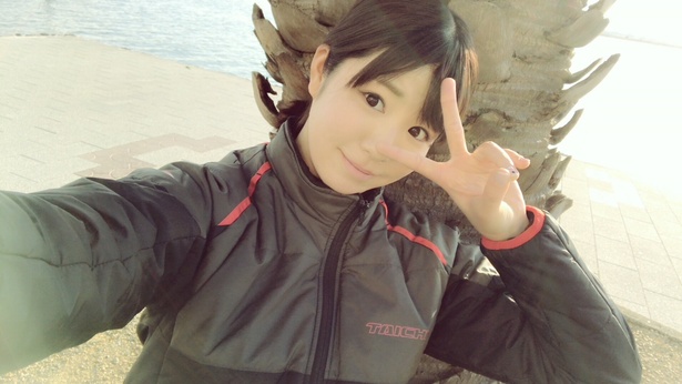 弁天島海浜公園にはヤシの木がたくさん！