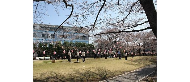 タニタを訪れたのは3月下旬。会社の広場には桜の木があり、社員たちが花見の準備をしていた