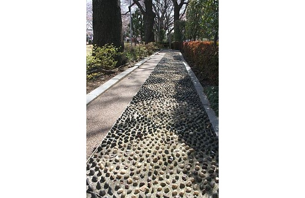 広場には、足ツボの道があるのも、さすがタニタ！ 素足で歩いてみたが…痛すぎて歩けず、記者は自らの食生活を振り返ることになった