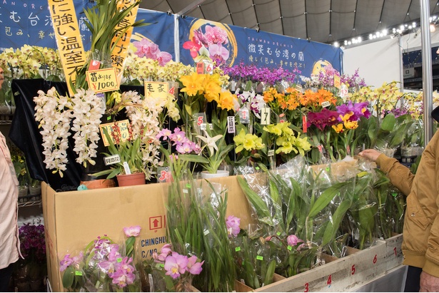会場ではらんの販売も行なっている