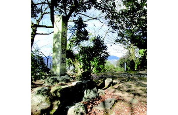 「金山城跡」