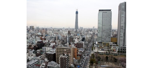 さあ、建設中のスカイツリーを独り占めだ！
