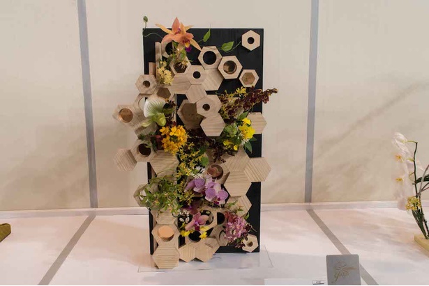 世界らん展日本大賞 2018 16/30