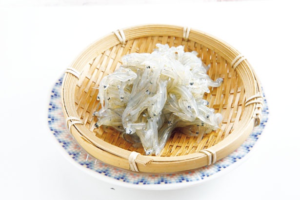 ふわっふわのシラスを食べよう シラス漁獲量日本一の愛知県 篠島を満喫 ウォーカープラス