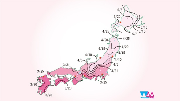【速報】2018年版 桜の開花予想 第2回