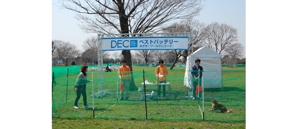 DECチャンピオンズリーグの模様