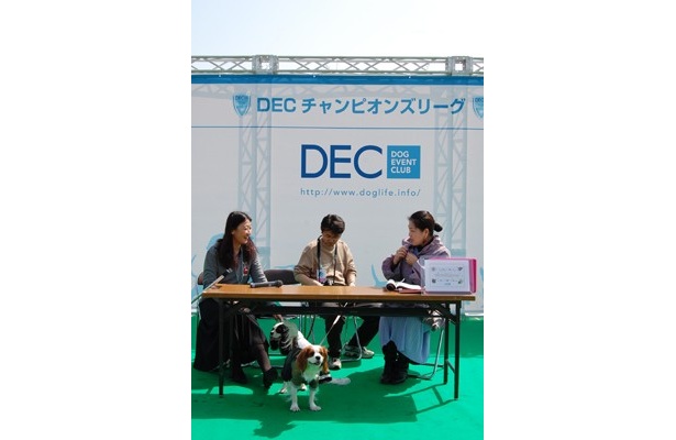 DECチャンピオンズリーグの模様