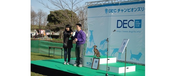 DECチャンピオンズリーグの模様