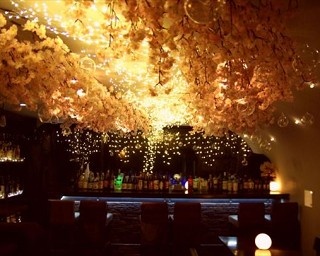 夜桜×イルミ！吉祥寺のダイニングバーで春のイベントが開催