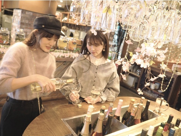 【写真を見る】3000本の桜のシャンデリアで乾杯！「お花見バルESOLA渋谷」期間限定オープン