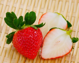 めずらしい桜色や白イチゴも！九州で出合える注目品種7選