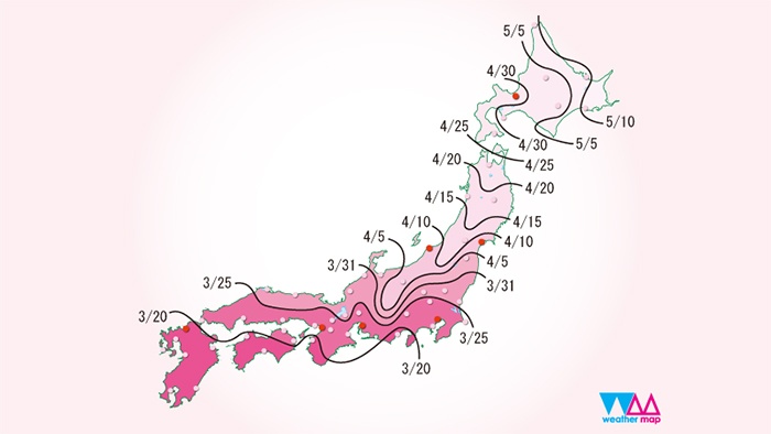 【速報】2018年版 桜の開花予想