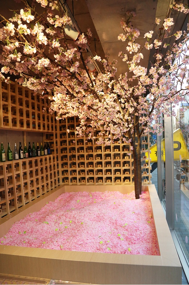 120万枚の桜の花びらが敷き詰められる「桜のプール」はSNS映えも抜群だ
