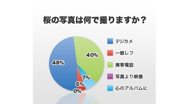 「桜の写真は何で撮りますか？」