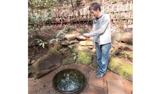 【写真】「明治神宮御苑 清正井」は都内最大級のパワースポット！