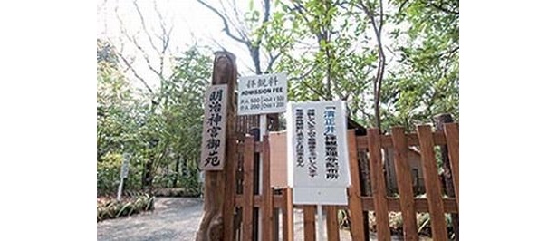 明治神宮は全体がパワースポット
