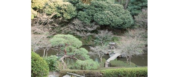 高台から望むひょうたん型の池は都内でも有数のパワースポット！「池田山公園」