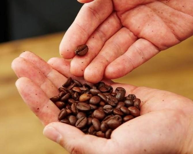 「コーヒー2050年問題」を救う！国内コーヒー業界初の“生産者と直接つながる”新機能が登場