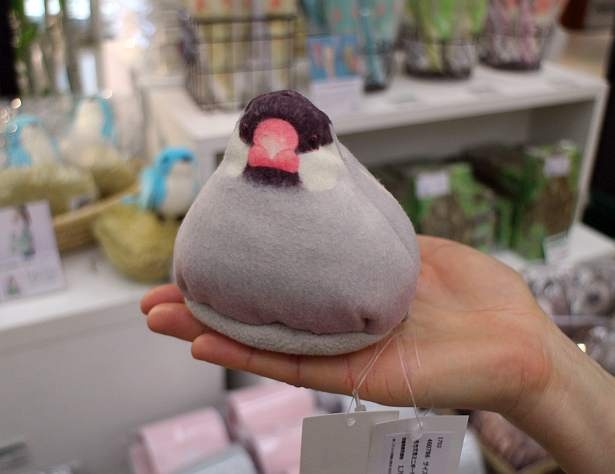 推し動物グッズ /雑貨ブランド「YOU＋MORE！」 5/20