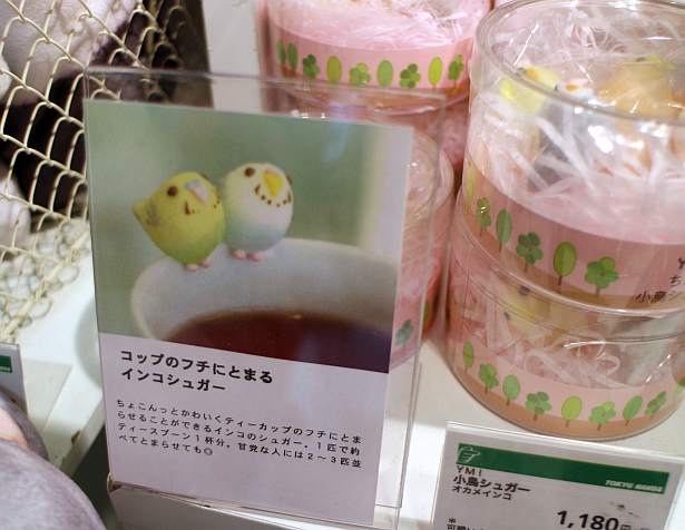 推し動物グッズ /雑貨ブランド「YOU＋MORE！」 11/20