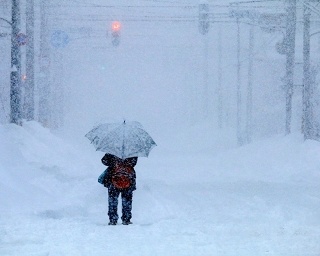 1月の大雪をネットの反応で振り返る！Twitter定点調査