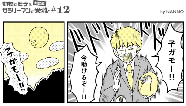 (91)