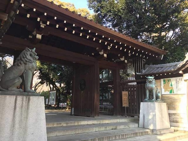 桜レポート！今年も靖国神社の標本木を見てきた！