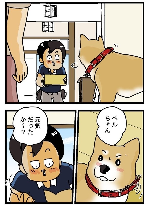 かみつきペルちゃんP10