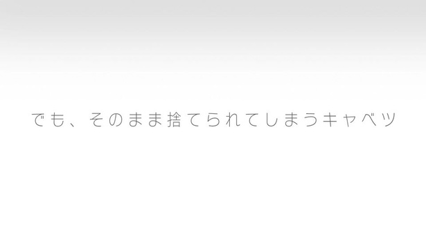 キャベツ愛に溢れた思いやりが伝わる