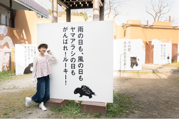 画像1 9 福岡市動物園で発見 話題の インスタ映え スポットをレポート ウォーカープラス