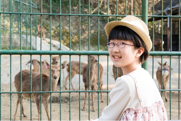 園内の動物たちと一緒に写真を撮るのも楽しい♪ベストショットを狙おう！