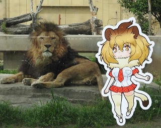 けものフレンズと東武動物公園が2018年もコラボ！グレープ君＆フルルのグッズも登場