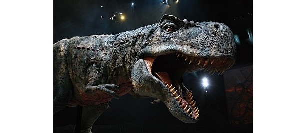 リアルなティラノサウルスが迫る!!大迫力のアドベンチャー・ショーが大阪に初上陸