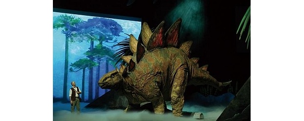 有名なステゴサウルスも。全長9メートルの大きな体は、隣に人が並ぶとさらに大きく感じる