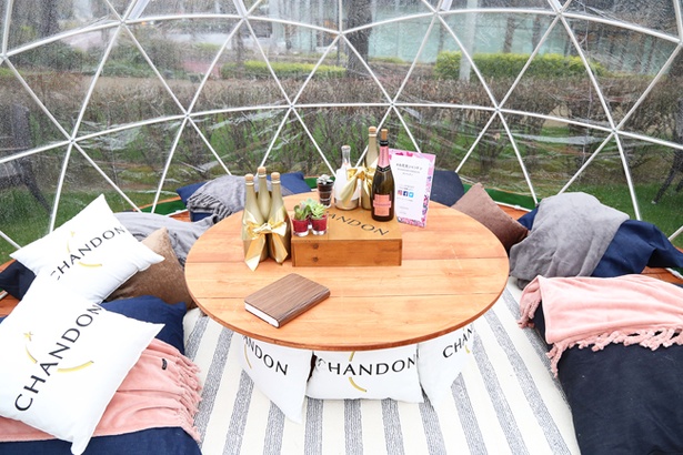 CHANDON SOITEの一例。自宅や友人宅のリビングのようにくつろげる落ち着いた雰囲気のドームも用意される