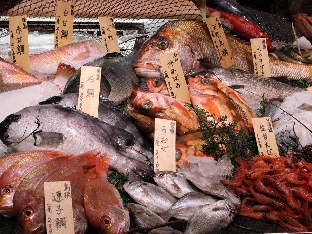 岸和田漁港、泉佐野漁港からの直送品のほか、朝、鳥取県境港で揚がった魚介類などが並ぶ