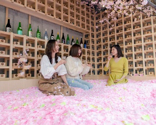 桜に埋もれて“佐賀ん酒”を呑み比べ！「SAKURA CHILL BAR in 佐賀」で特別な花見体験を
