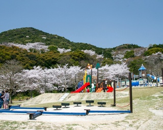 佐賀・桜速報！金立SA直結でアクセス良好。遊具＆BBQ場完備の「金立公園」