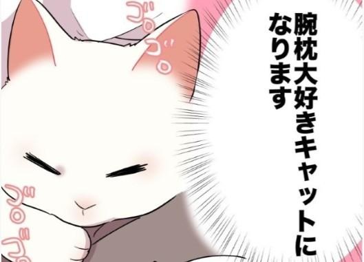 「もう寝るからね」ベッドで待機する白猫→冬になると現れる「腕枕ヤクザ」の予想外な生態【作者に聞く】