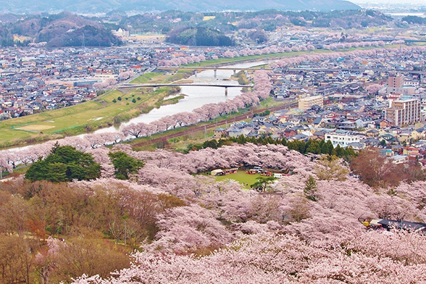 白石川堤一目千本桜まで見渡せる、船岡城址公園山頂からの贅沢な眺望