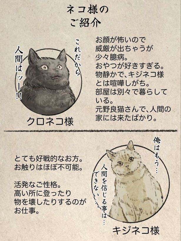 ネコだよッ！！