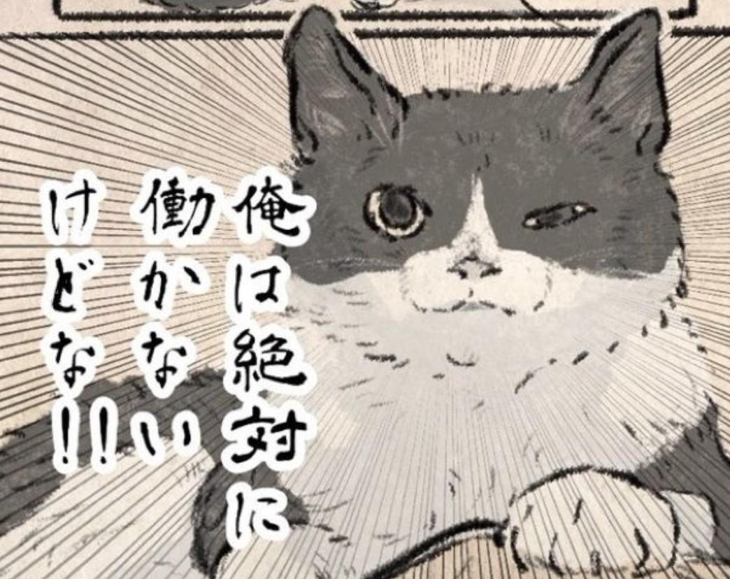 お留守番にブチギレた愛猫「ウンコしてやろうかな」→まさかの標的に「目が笑ってない！」と恐怖【作者に聞く】
