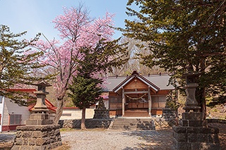 富士と桜の最強タッグが見られる神の絶景とは