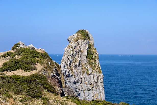 壱岐を代表する絶景の名所「猿岩」。長い年月をかけて自然に形成された海食崖の一部