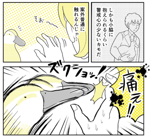  動物にモテるサラリーマンの受難(75)