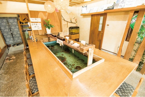 「朝日屋」。生けすを囲む造りのカウンター席。捕れたての魚介を見ながら食事が楽しめる