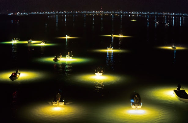 シラスウナギ漁 の幻想的な眺め 吉野川の冬から春 深夜の風物詩 徳島 吉野川 ウォーカープラス