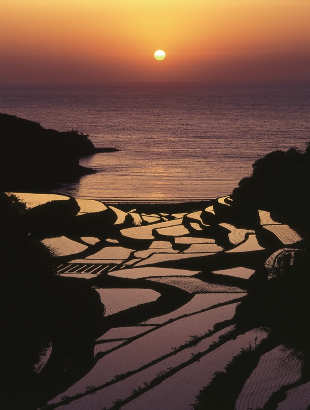 「浜野浦の棚田 」。水平線に沈む夕日が水田と海面を美しく照らし、あたり一面がオレンジの光に包まれる