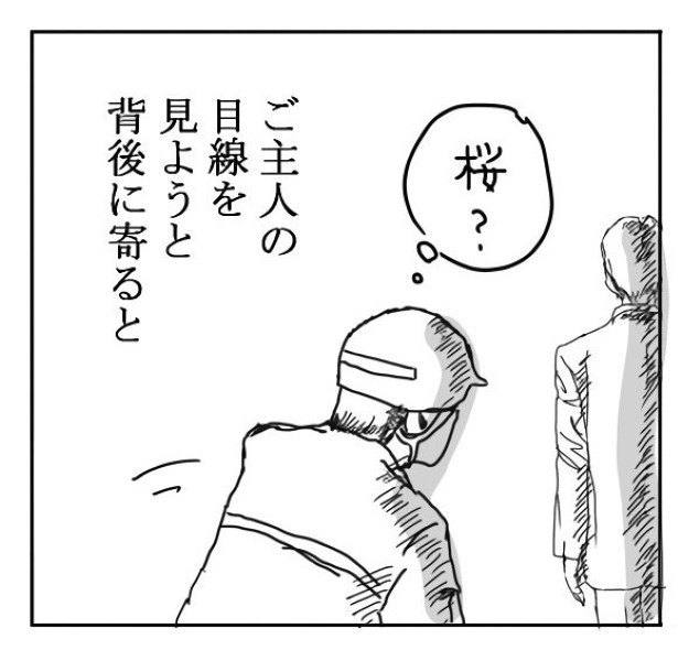 桜_P07